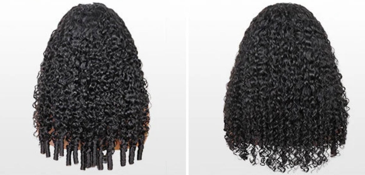 Crowned Burmese Curl